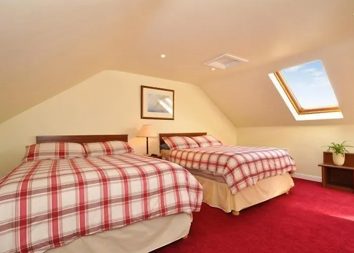 Lynfield Pensión Galway